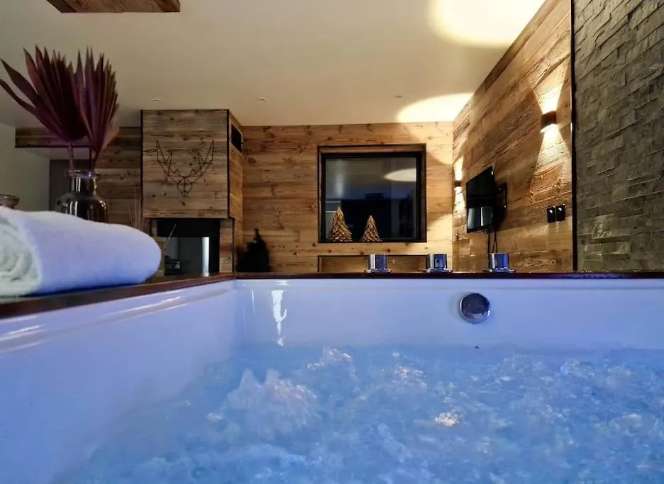 Le Enecy - Spa - Coeur Vieille Ville Annecy Apartment